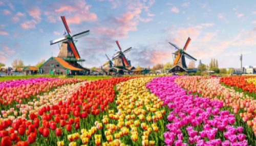 Hollanda Vizesi